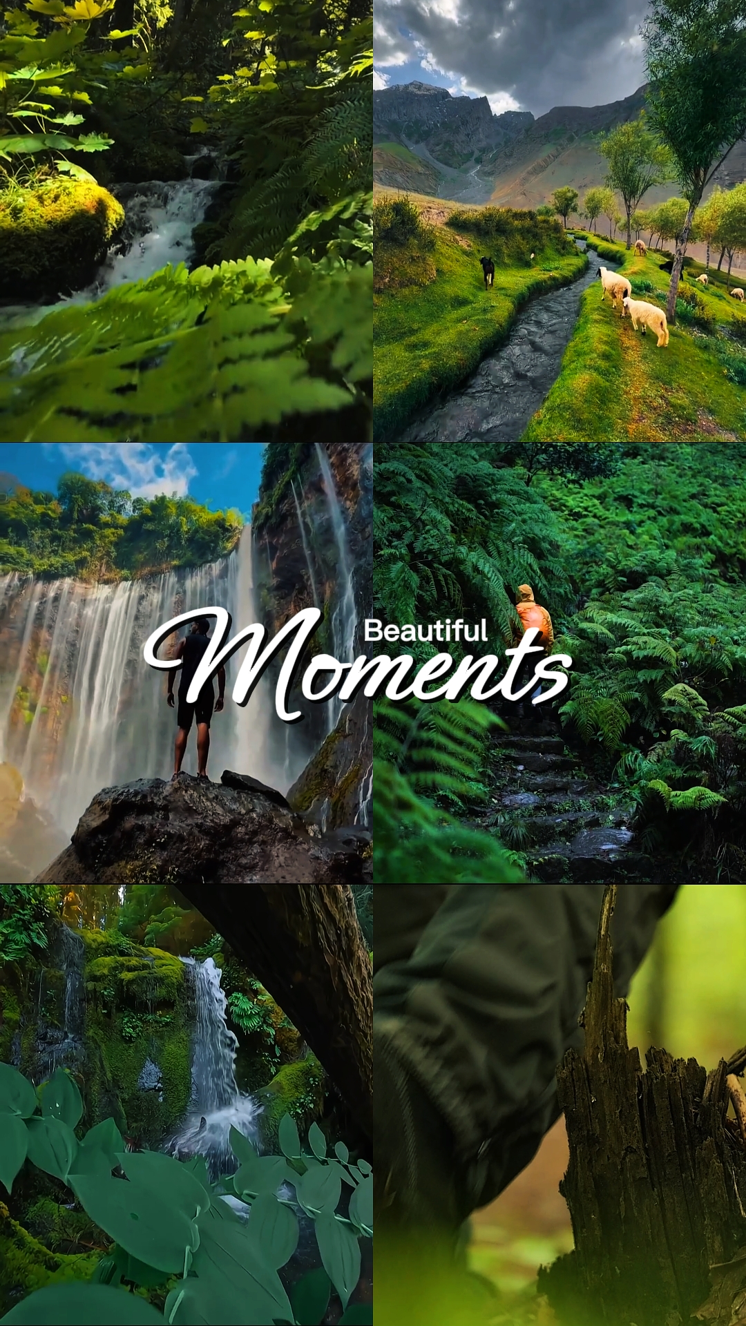 travel moment