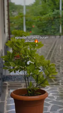 episode terakhir bul