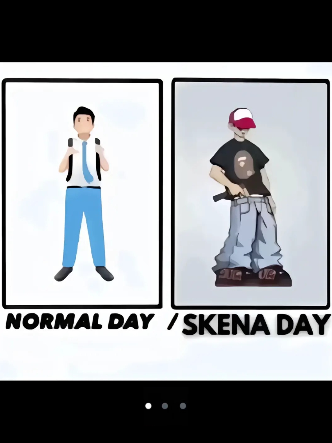 Normal vs skena