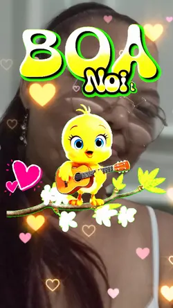 Boa noite