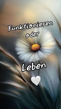 Funktionieren 🤍