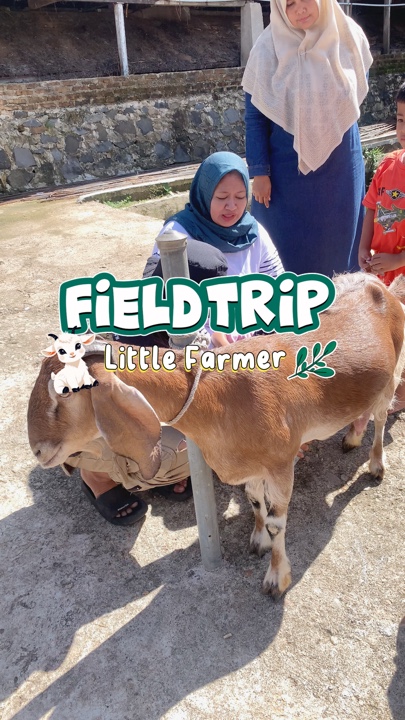 Field trip 