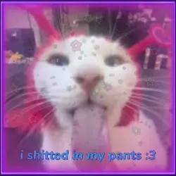 shtted in my pants 💔