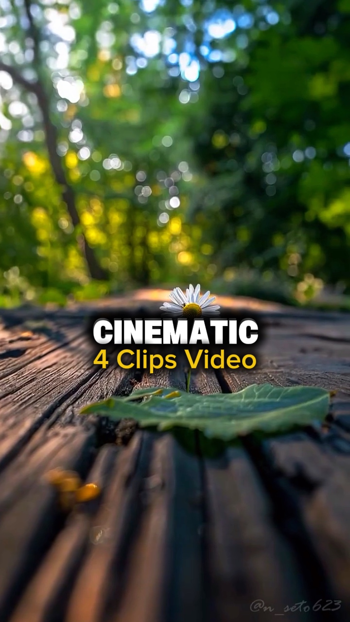 4 CLIPS VIDEO 