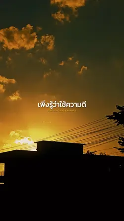 ตายทั้งเป็น