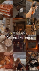 12 pics November