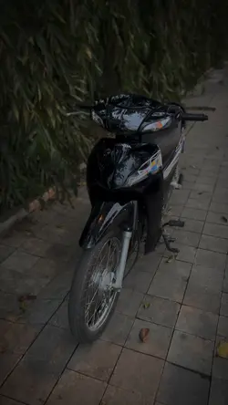 1 Video + màu