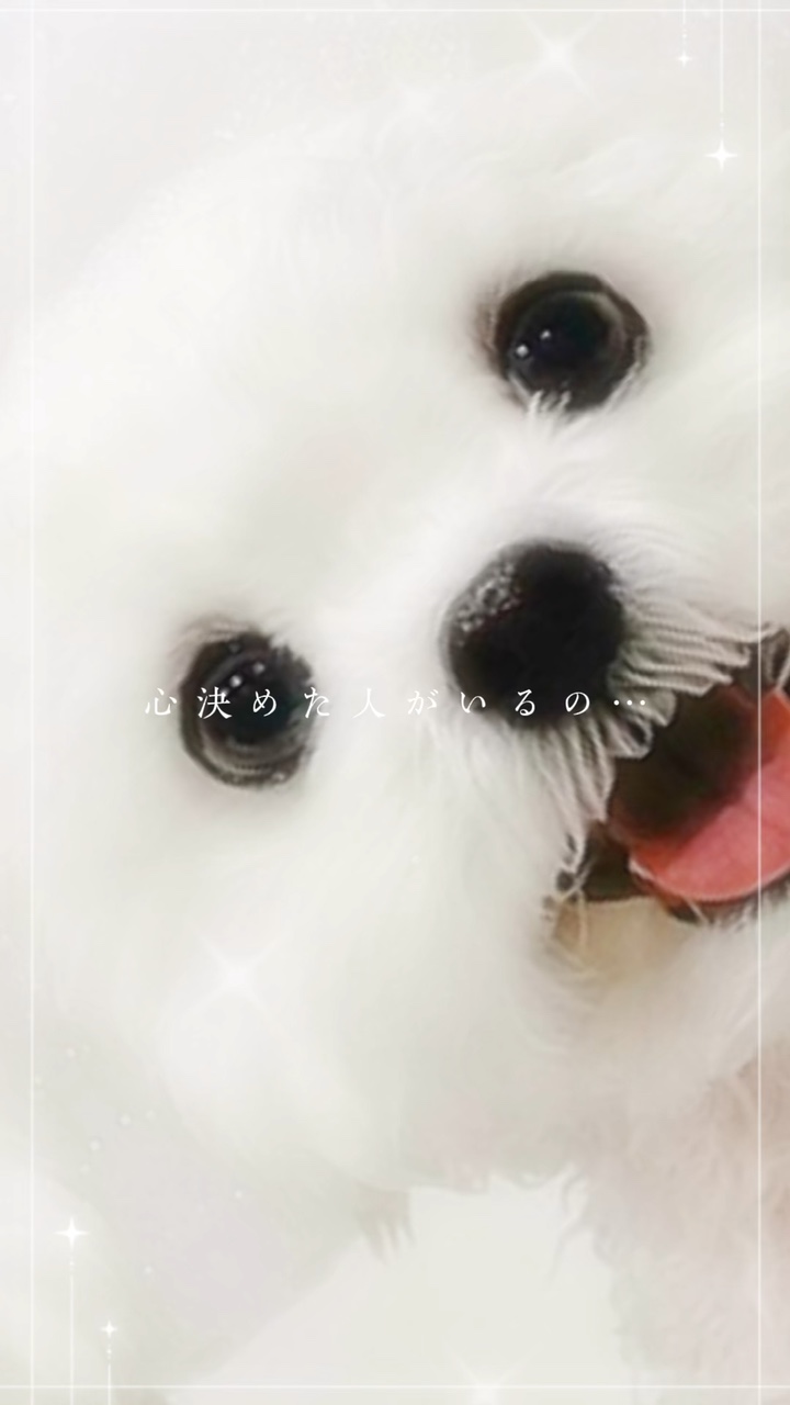 好きっちゅーの