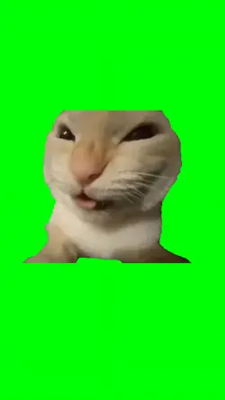 CAT LAUGHING
