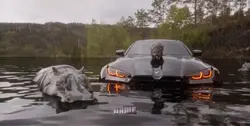 Bmw template 