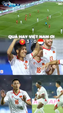 Highlight VN Indo