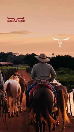 Modão IRMÃO DA LUA 🌒