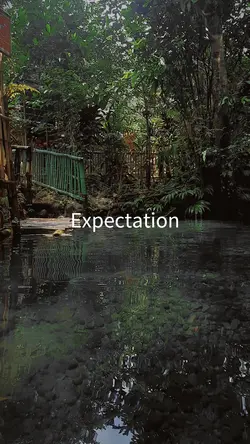 Expectation vs real