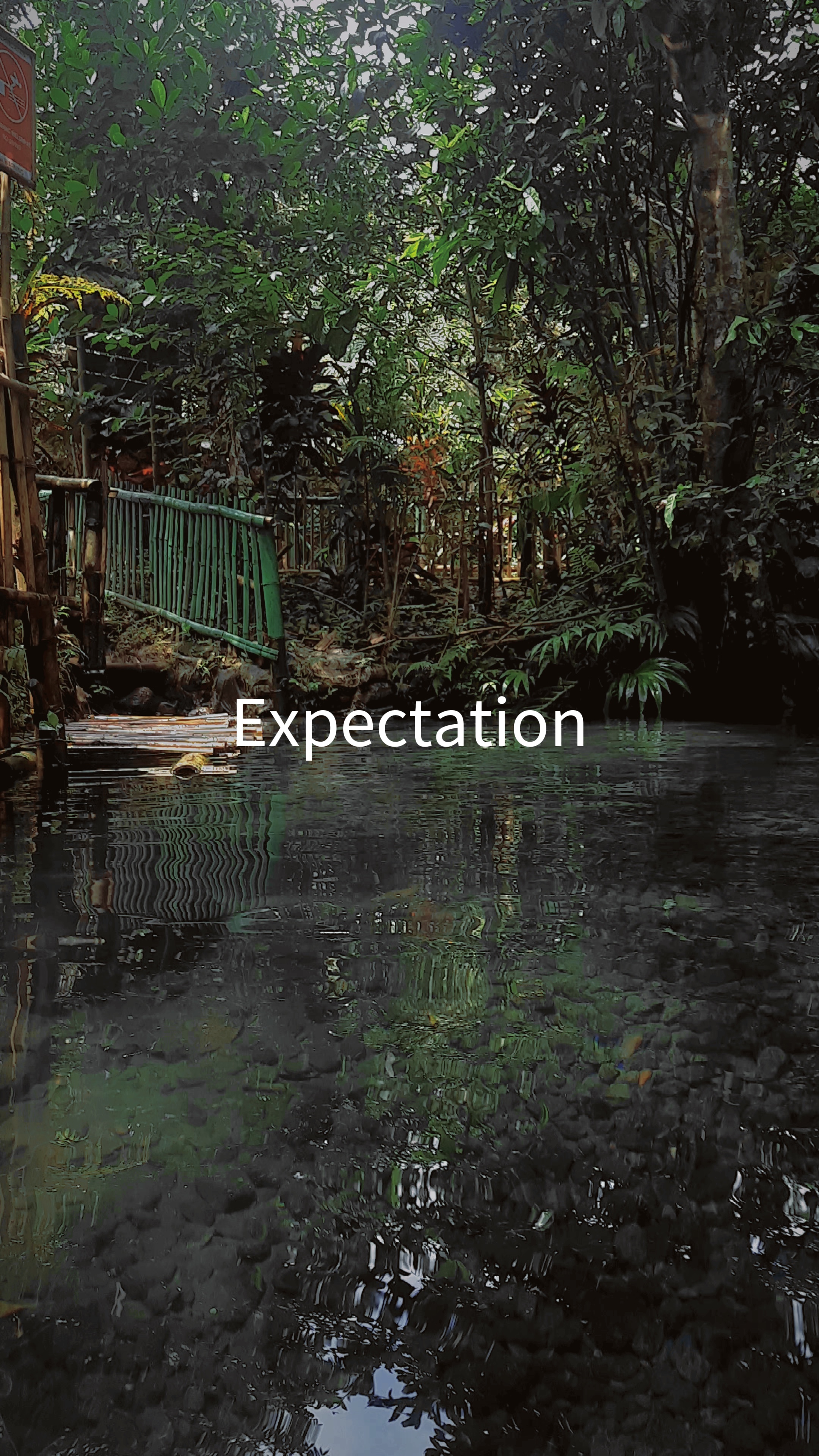Expectation vs real
