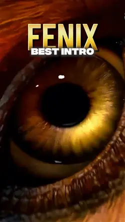 Fenix Best Intro