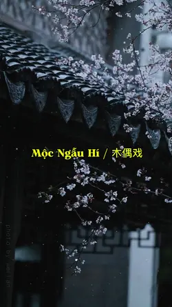 Mộc Ngẫu Hí / 木偶戏 