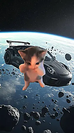 kicau mania