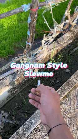 Gangnam Style