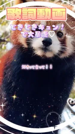 どきどきキュン!で大暴走♡