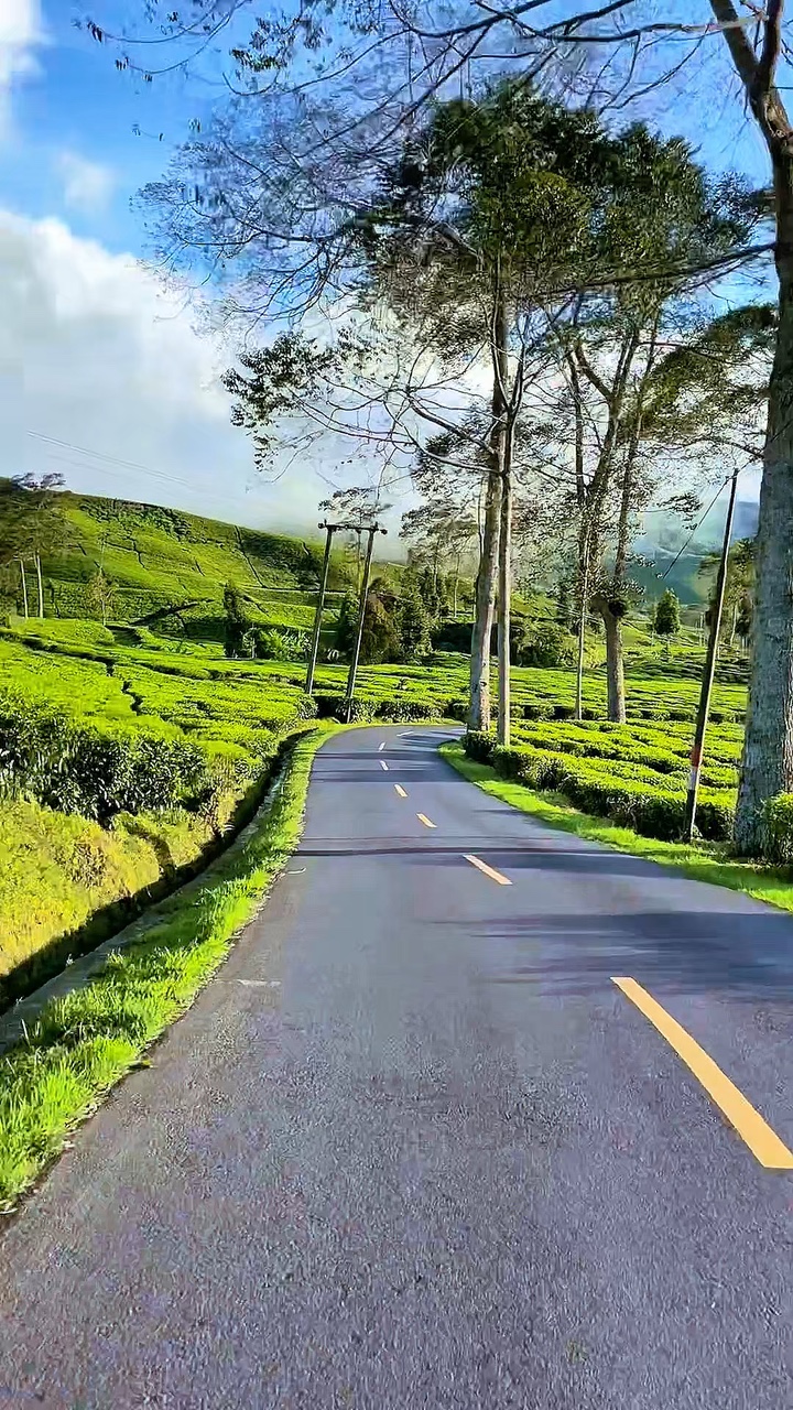8 videos de viaje por carretera