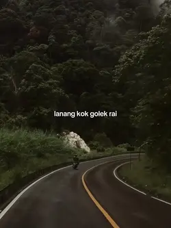 lanang kok golek rai