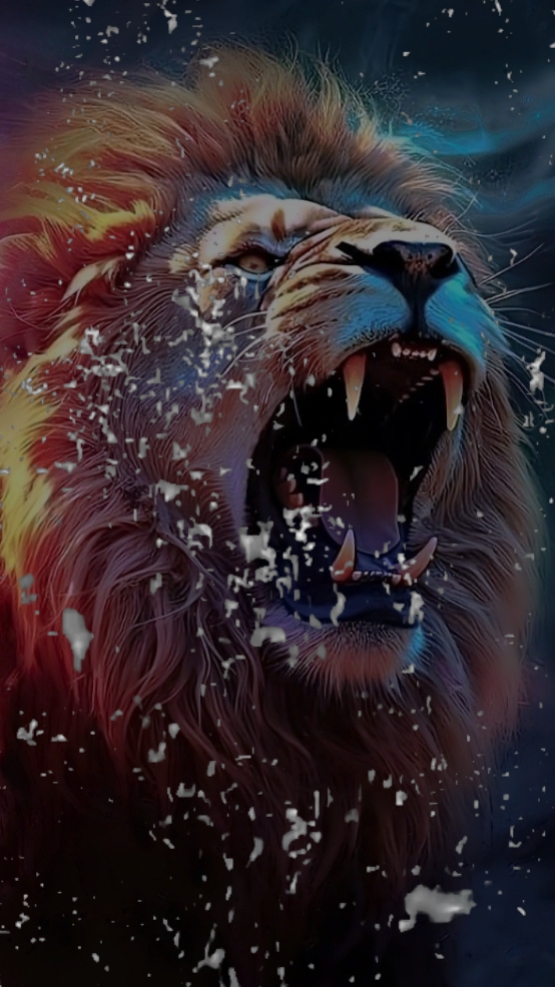 Löwe gegen Tiger 