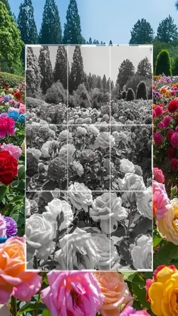 Hidden detail