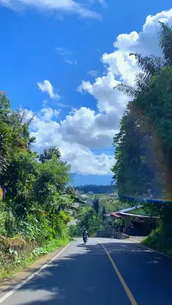 🍃