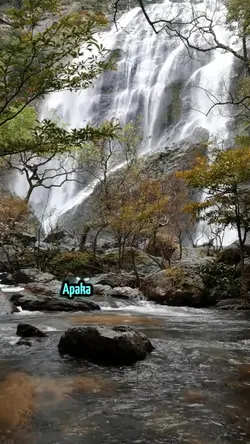 KEKASIH JIWAKU