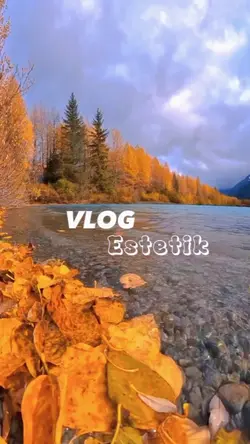 Vlog Estetik HD