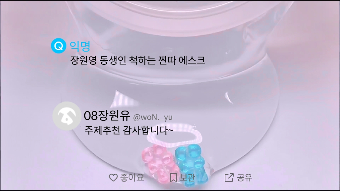 장원영 동생인 척하는 08 찐따 에스
