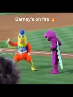 BARNEY