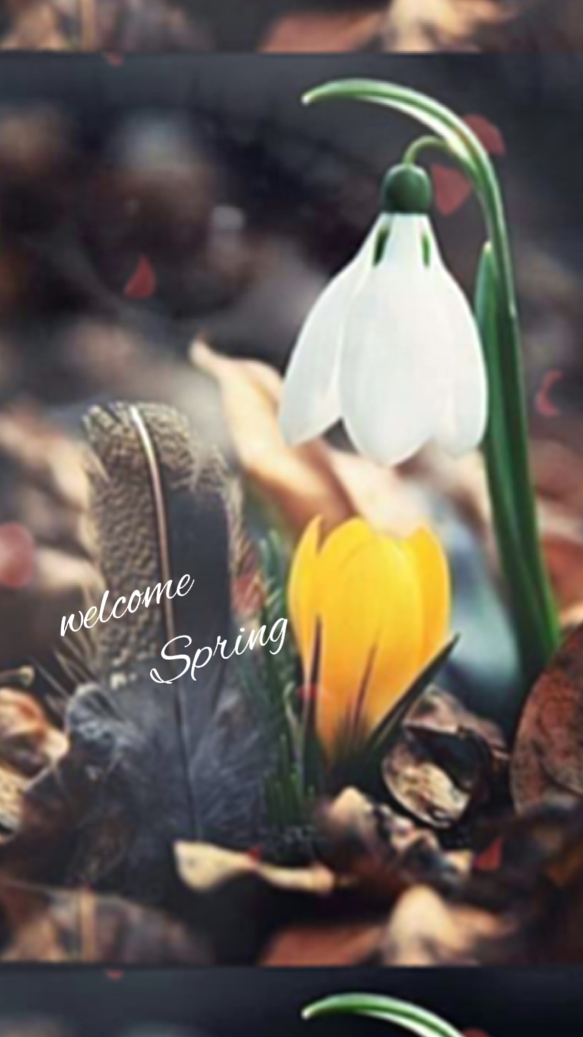 ByeWinterHelloSpring