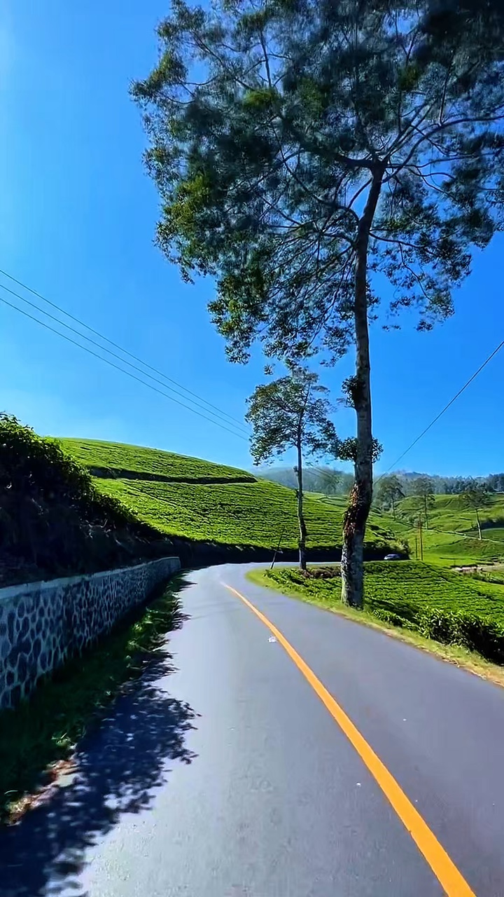 5 video road trip