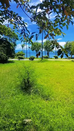 Engagment is the key