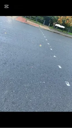 Albert I miss you🕊️