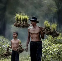Ayah aku rindu