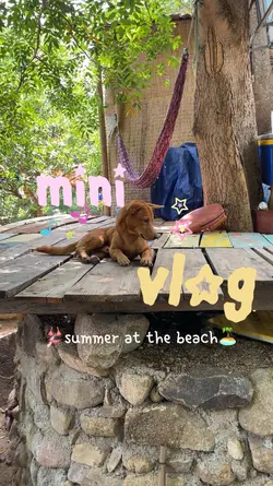 intro vlog 🏝️