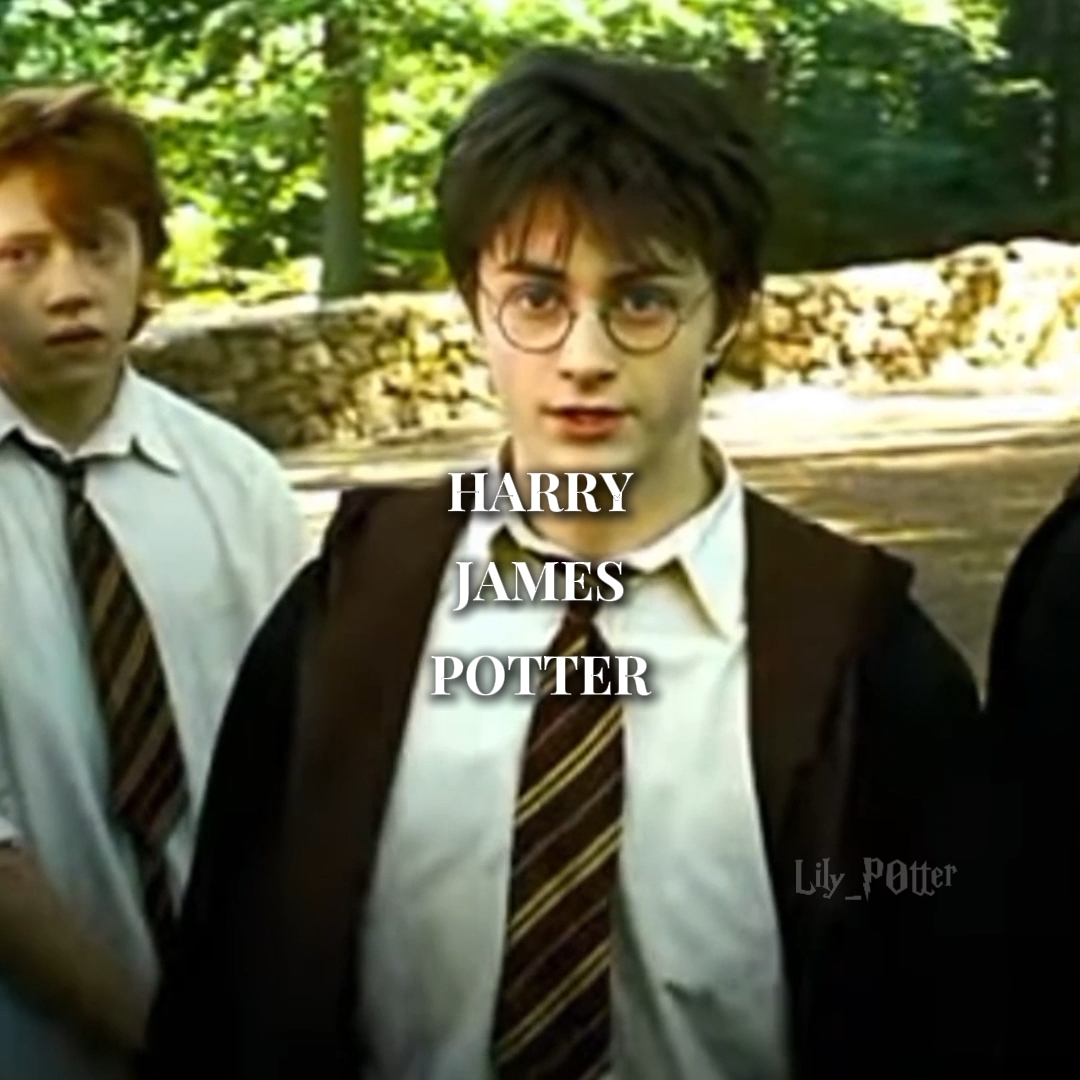 Harry James Potter