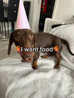 I want food