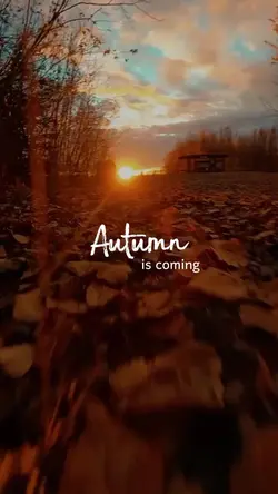 Autumn is coming
