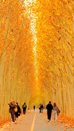 너만 사랑 있어