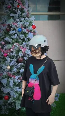 che mặt con mèo
