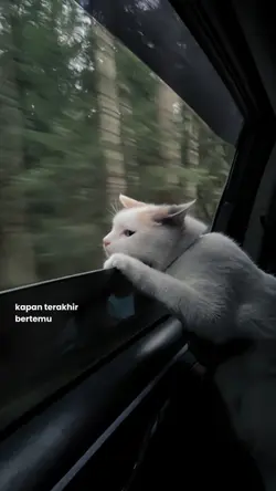 ada titik-titik