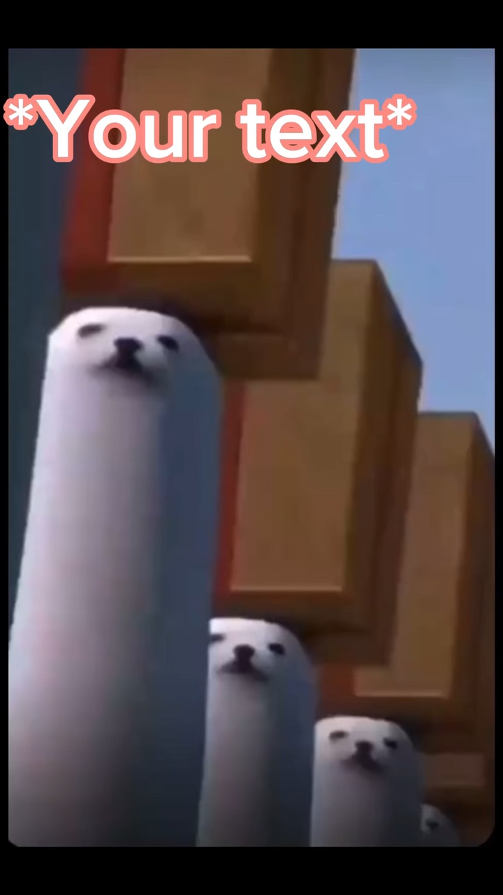 Merry Christmas 🎄 