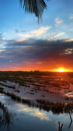 2 ảnh + Màu tươi