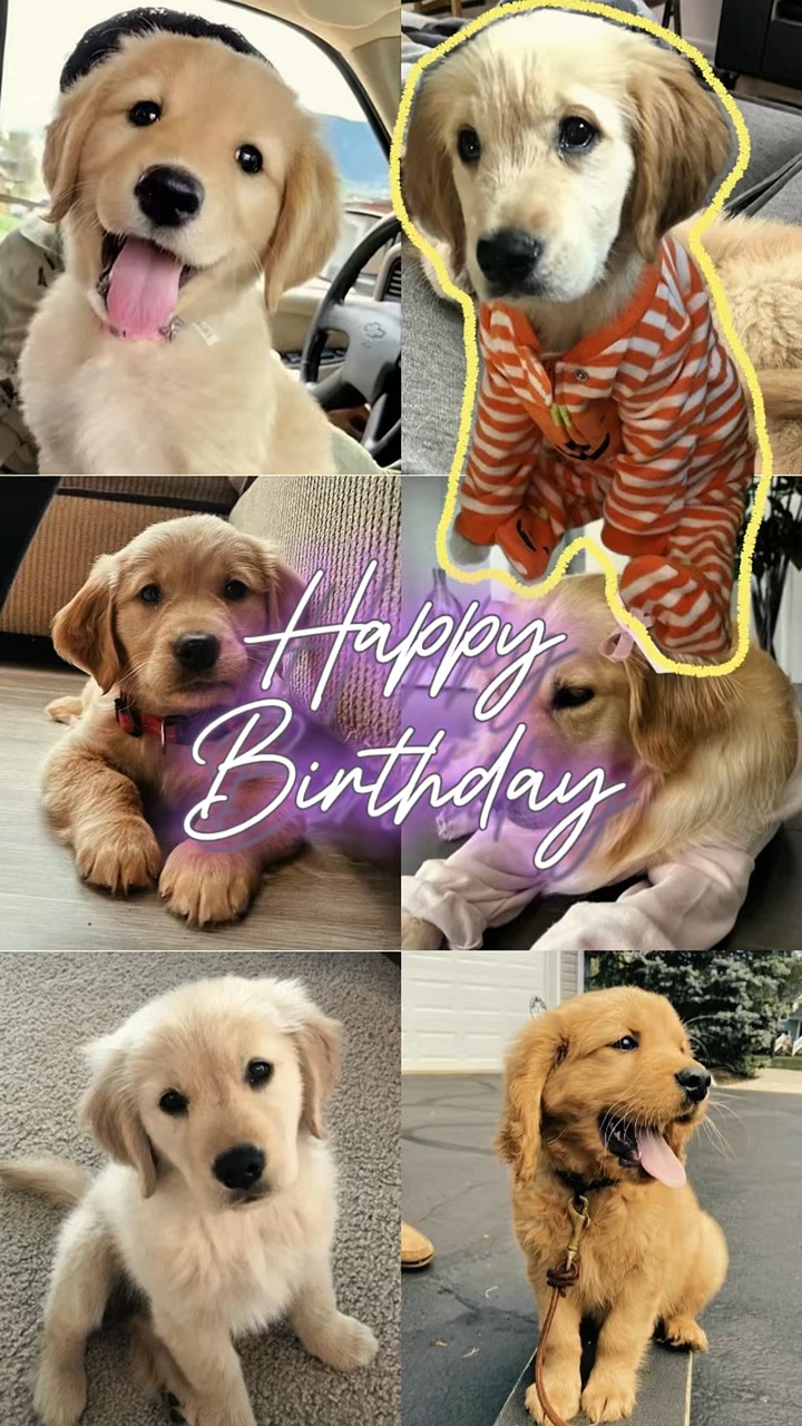 생일 축하해 내 강아지🐶