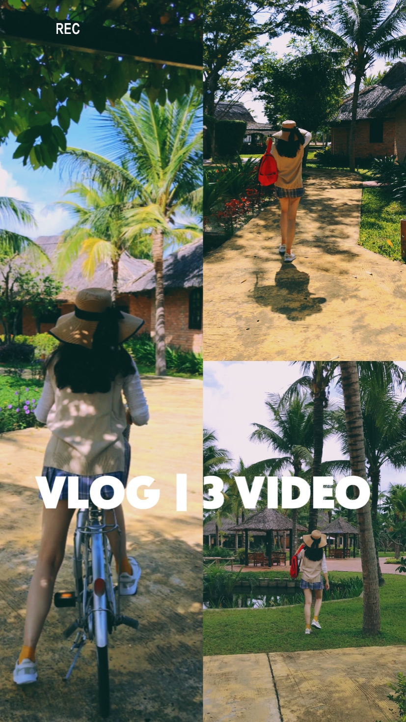 VLOG | 3 VIDÉO