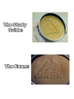 Study Guide vs Exam