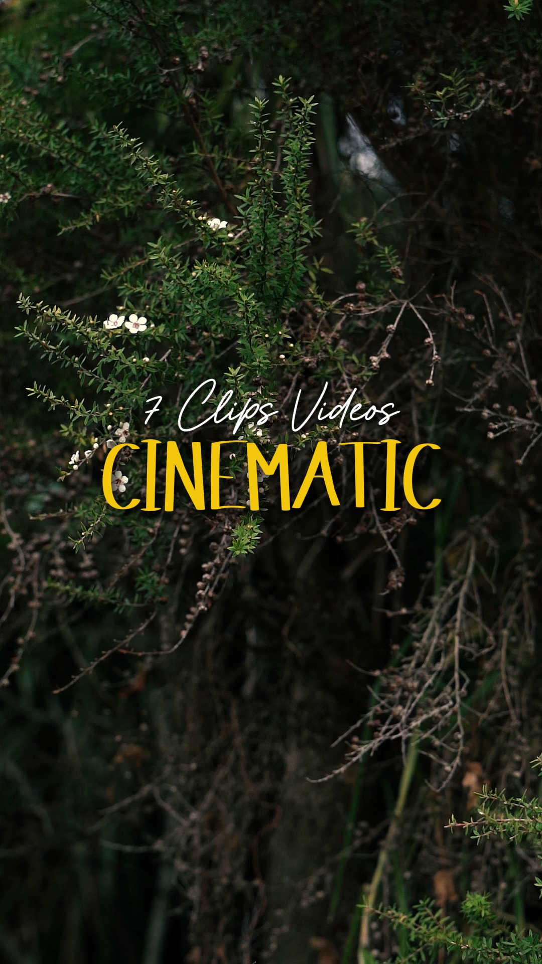 Cinematic 7 Videos